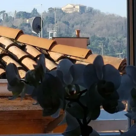 Tetti Rossi * Bologna